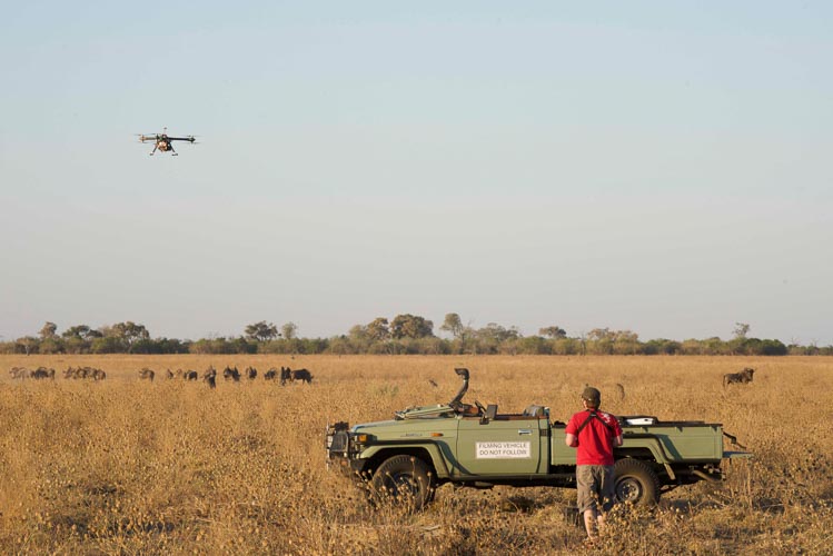 botswana mobile safaris