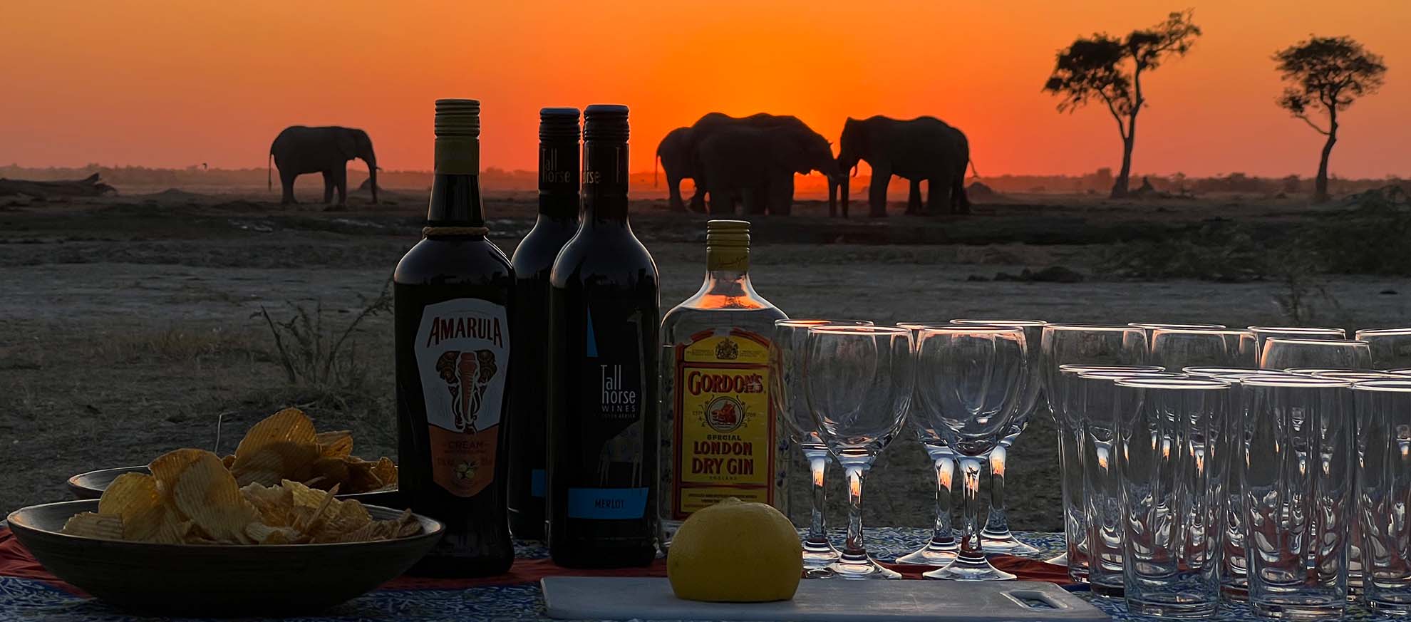 botswana mobile safaris