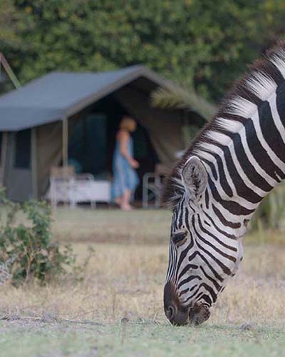 botswana mobile safaris
