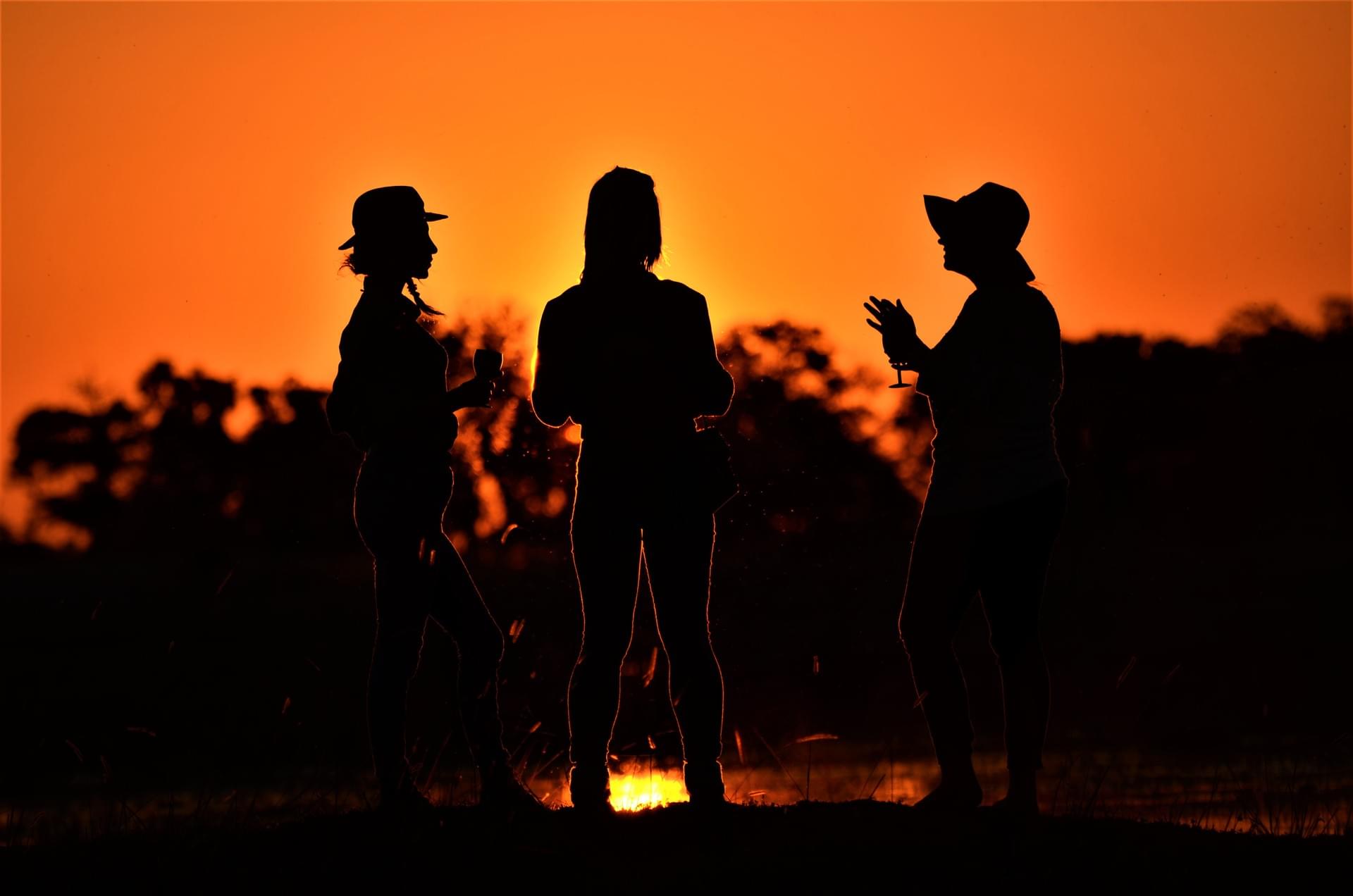 botswana mobile safaris